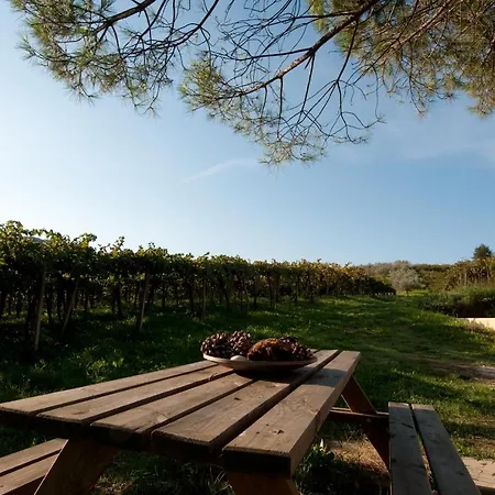 Gospodarstwo wiejskie Casa Dell'orto San Vito Chietino