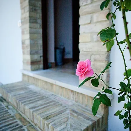 Casa Dell'orto *